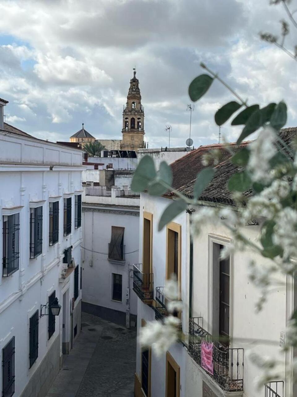 El Balcon De La Torre Daire Cordoba Dış mekan fotoğraf